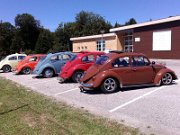 Beetle Show Rioz (86)